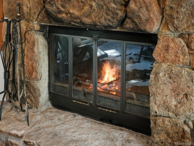 29 Blue Spruce Dr, Evergreen, CO 80439