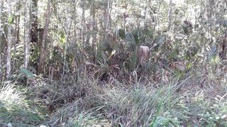 NE 37TH TERRACE TERRACE, Citra, FL 32113