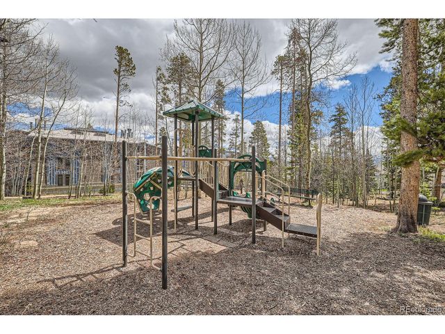 4200 Lodge Pole Cir 103, Silverthorne, CO 80498