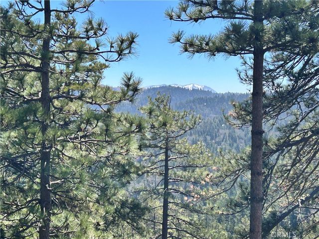 221 Grizzly Road, Lake Arrowhead, CA 92317