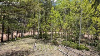 1058 Bennett Drive, Cripple Creek, CO 80813