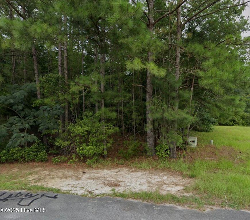 325 Farina Drive, Havelock, NC 28532