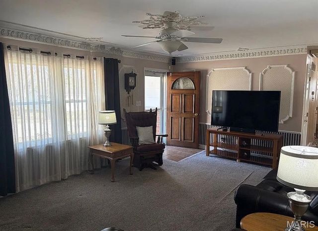 210 Aldergate Street, Farmington, MO 63640