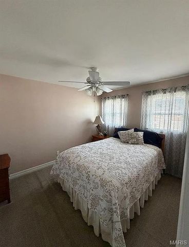 210 Aldergate Street, Farmington, MO 63640