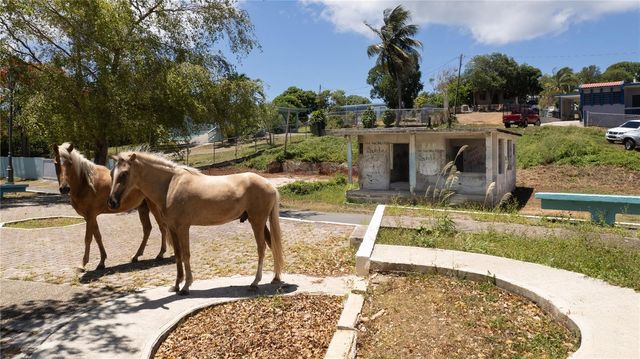 172 COMM. SANTA MARÍA, Vieques, PR 00765