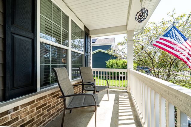 16106 W Sand Lilly Street, Lockport, IL 60441