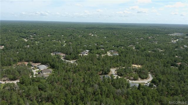 43 Matricaria Court, Homosassa, FL 34446