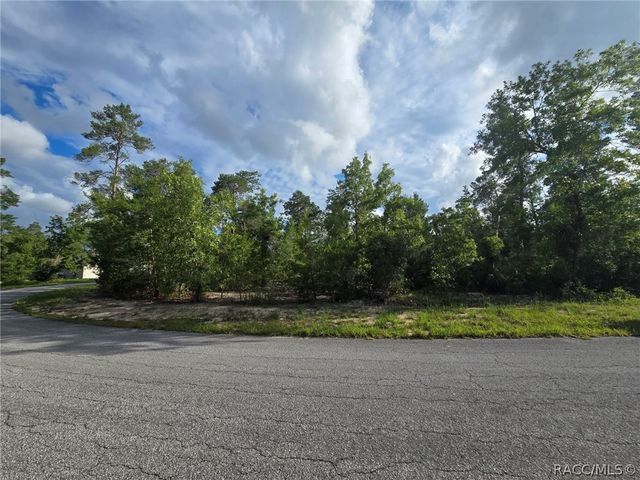 43 Matricaria Court, Homosassa, FL 34446