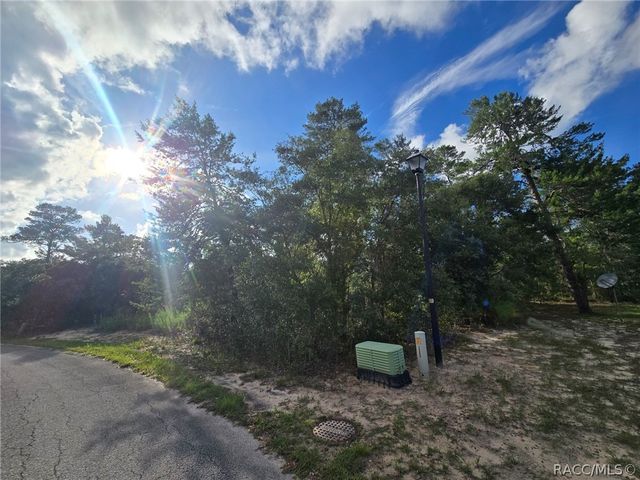 43 Matricaria Court, Homosassa, FL 34446