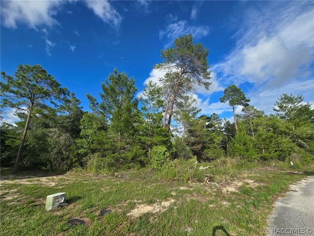 43 Matricaria Court, Homosassa, FL 34446