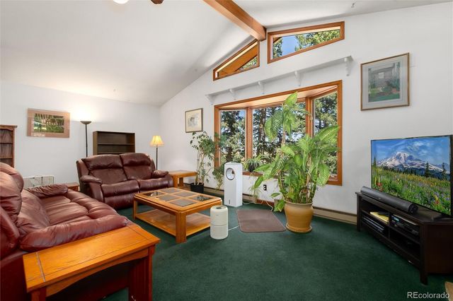 2924 Valley Park Drive, Larkspur, CO 80118