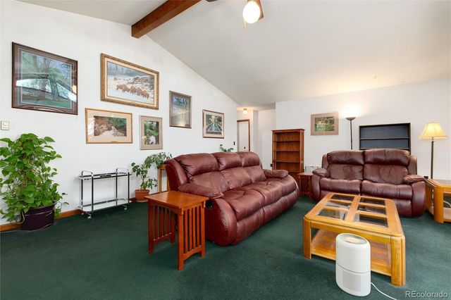 2924 Valley Park Drive, Larkspur, CO 80118