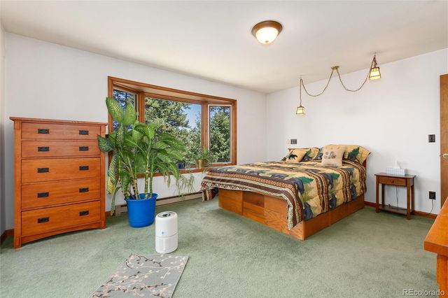 2924 Valley Park Drive, Larkspur, CO 80118