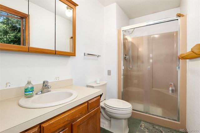 2924 Valley Park Drive, Larkspur, CO 80118