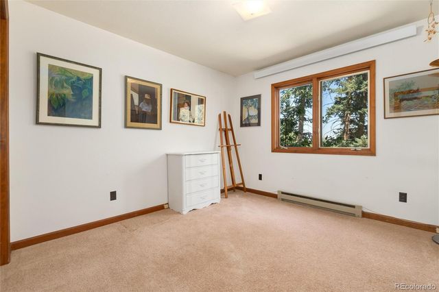 2924 Valley Park Drive, Larkspur, CO 80118