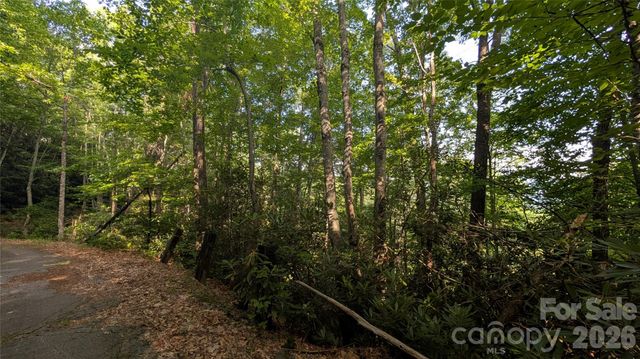00 Chestnut Walk 6,7,8, Waynesville, NC 28786