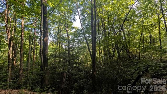 00 Chestnut Walk 6,7,8, Waynesville, NC 28786