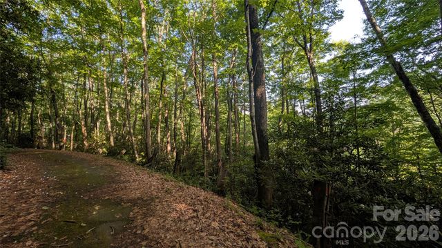00 Chestnut Walk 6,7,8, Waynesville, NC 28786