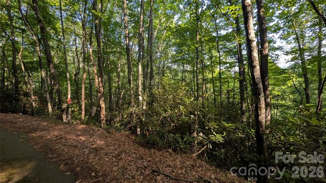 00 Chestnut Walk 6,7,8, Waynesville, NC 28786