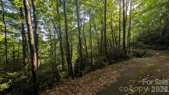 00 Chestnut Walk 6,7,8, Waynesville, NC 28786