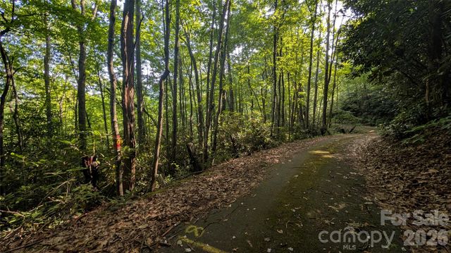 00 Chestnut Walk 6,7,8, Waynesville, NC 28786