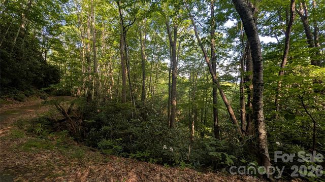 00 Chestnut Walk 6,7,8, Waynesville, NC 28786