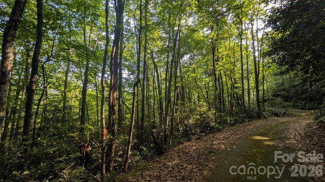 00 Chestnut Walk 6,7,8, Waynesville, NC 28786