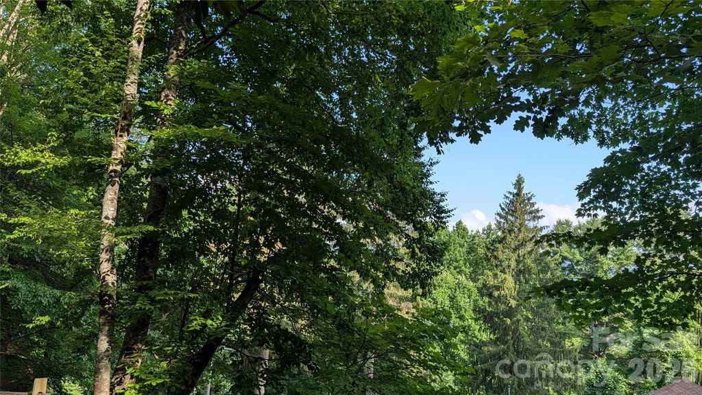00 Chestnut Walk 6,7,8, Waynesville, NC 28786