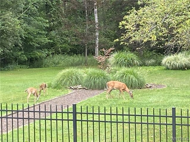 178 Golden Pheasant Drive, Amherst, NY 14068