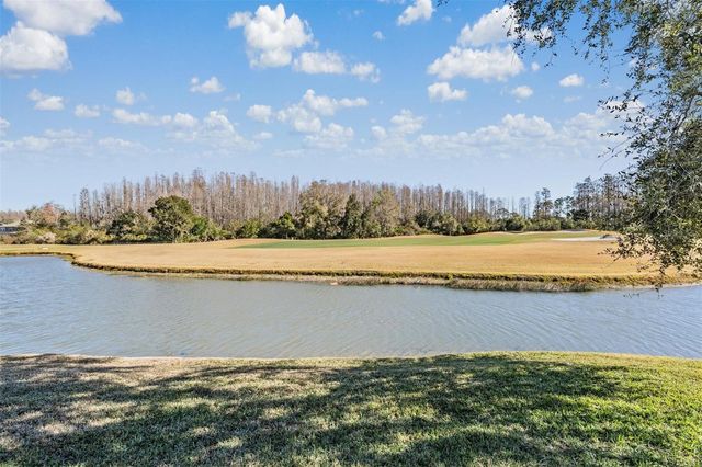 10610 PLANTATION BAY DRIVE, Tampa, FL 33647