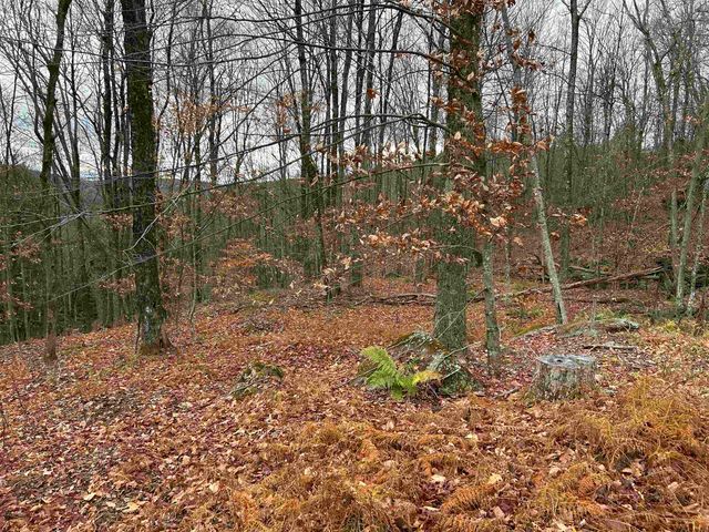 0 Pound Road, Sutton, NH 03221