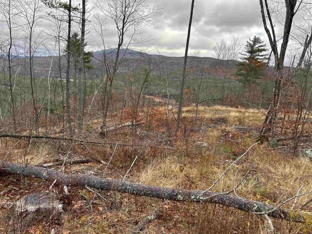 0 Pound Road, Sutton, NH 03221