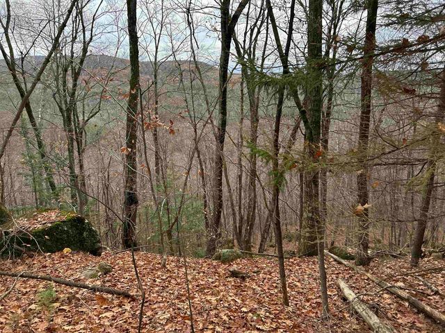 0 Pound Road, Sutton, NH 03221