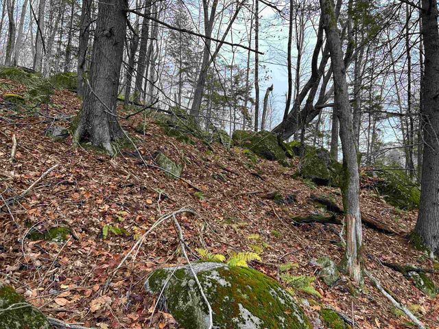 0 Pound Road, Sutton, NH 03221