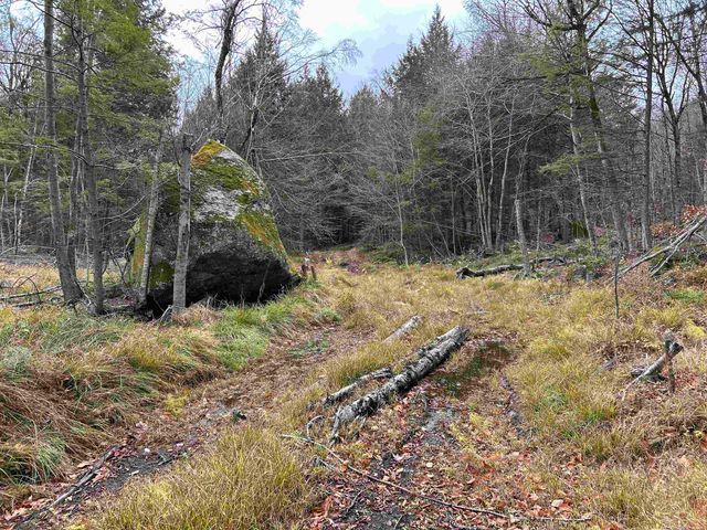 0 Pound Road, Sutton, NH 03221