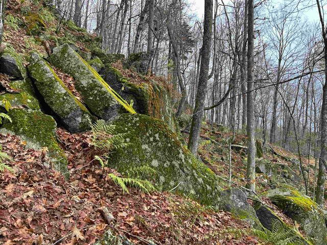 0 Pound Road, Sutton, NH 03221