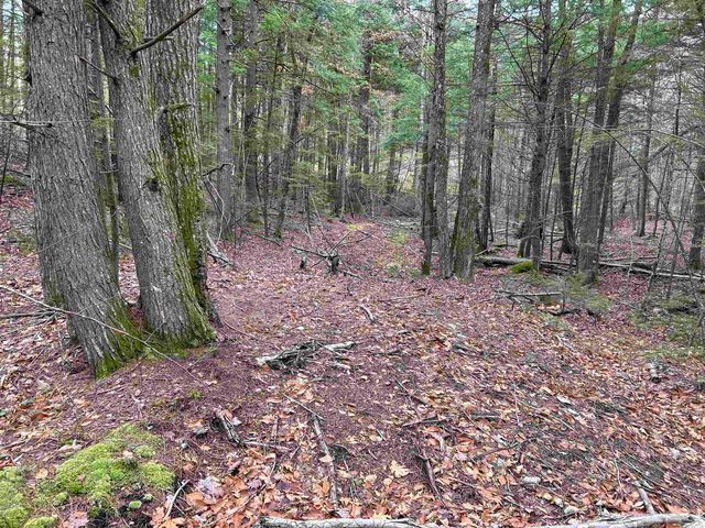 0 Pound Road, Sutton, NH 03221