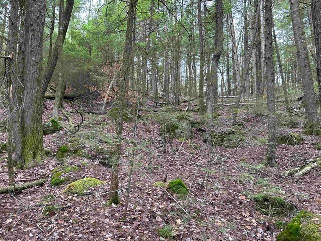 0 Pound Road, Sutton, NH 03221