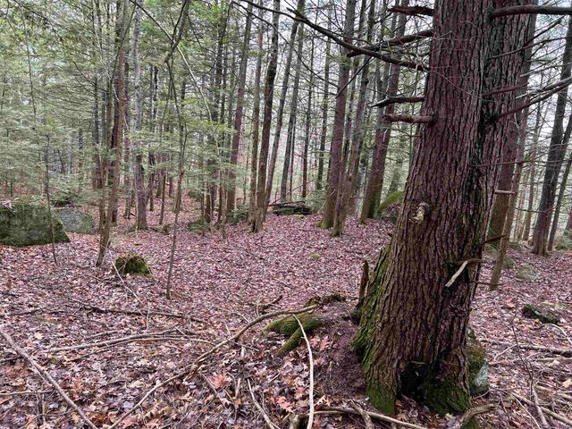 0 Pound Road, Sutton, NH 03221