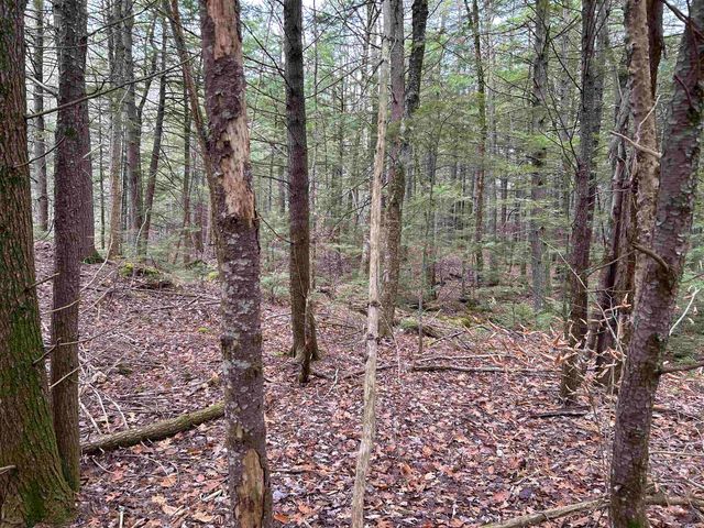 0 Pound Road, Sutton, NH 03221