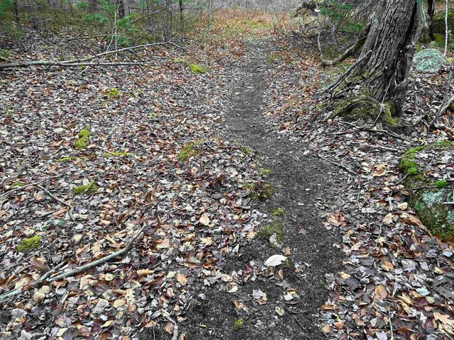 0 Pound Road, Sutton, NH 03221