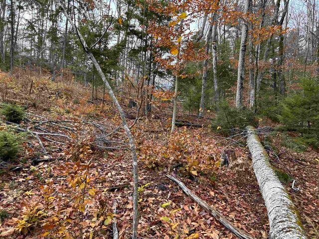 0 Pound Road, Sutton, NH 03221