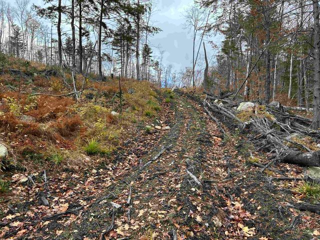 0 Pound Road, Sutton, NH 03221