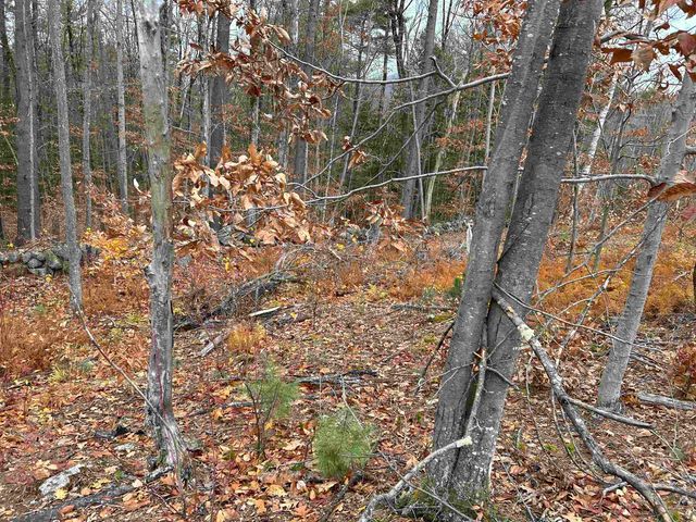 0 Pound Road, Sutton, NH 03221