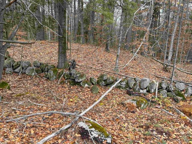 0 Pound Road, Sutton, NH 03221