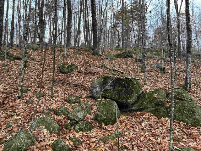 0 Pound Road, Sutton, NH 03221