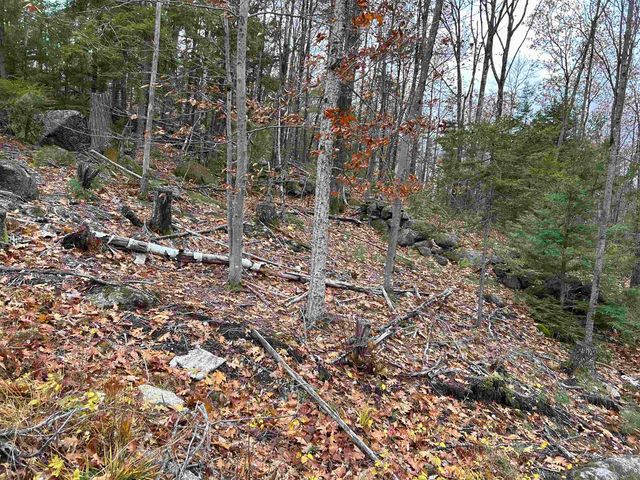 0 Pound Road, Sutton, NH 03221