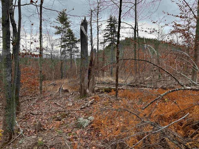 0 Pound Road, Sutton, NH 03221