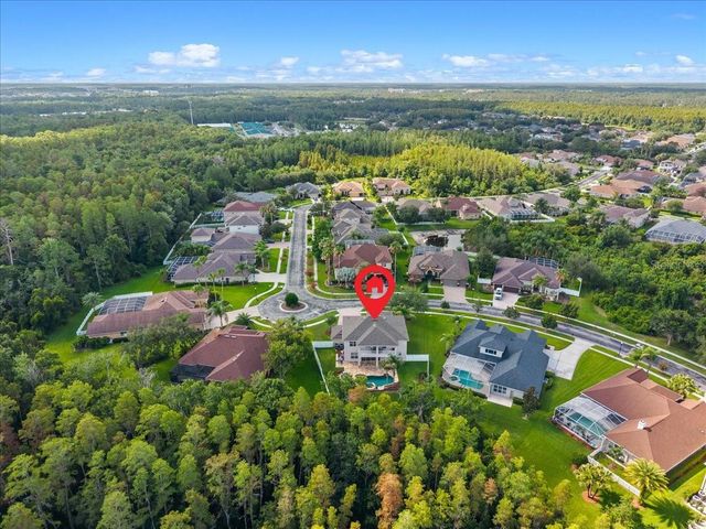 27335 ROSELING COURT, Wesley Chapel, FL 33544