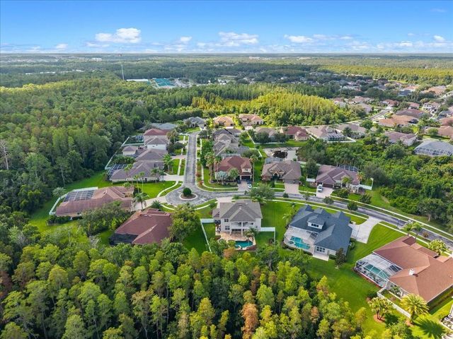 27335 ROSELING COURT, Wesley Chapel, FL 33544